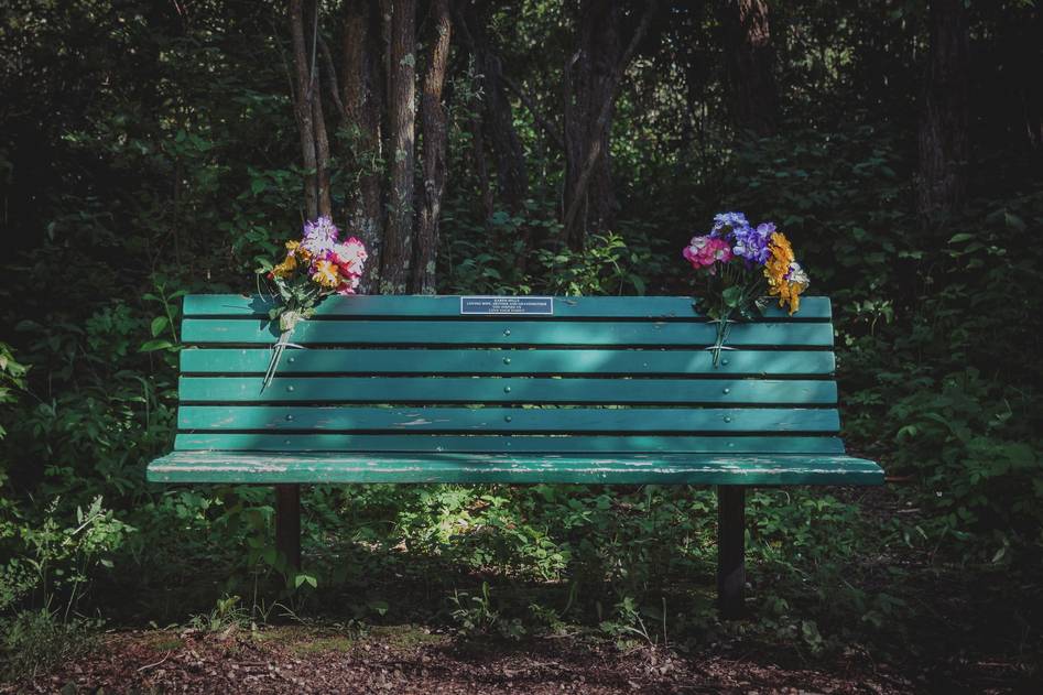 Cozy bench with cushions in a lush backyard setting