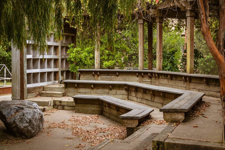 Wooden garden bench surrounded by blooming flowers and greenery