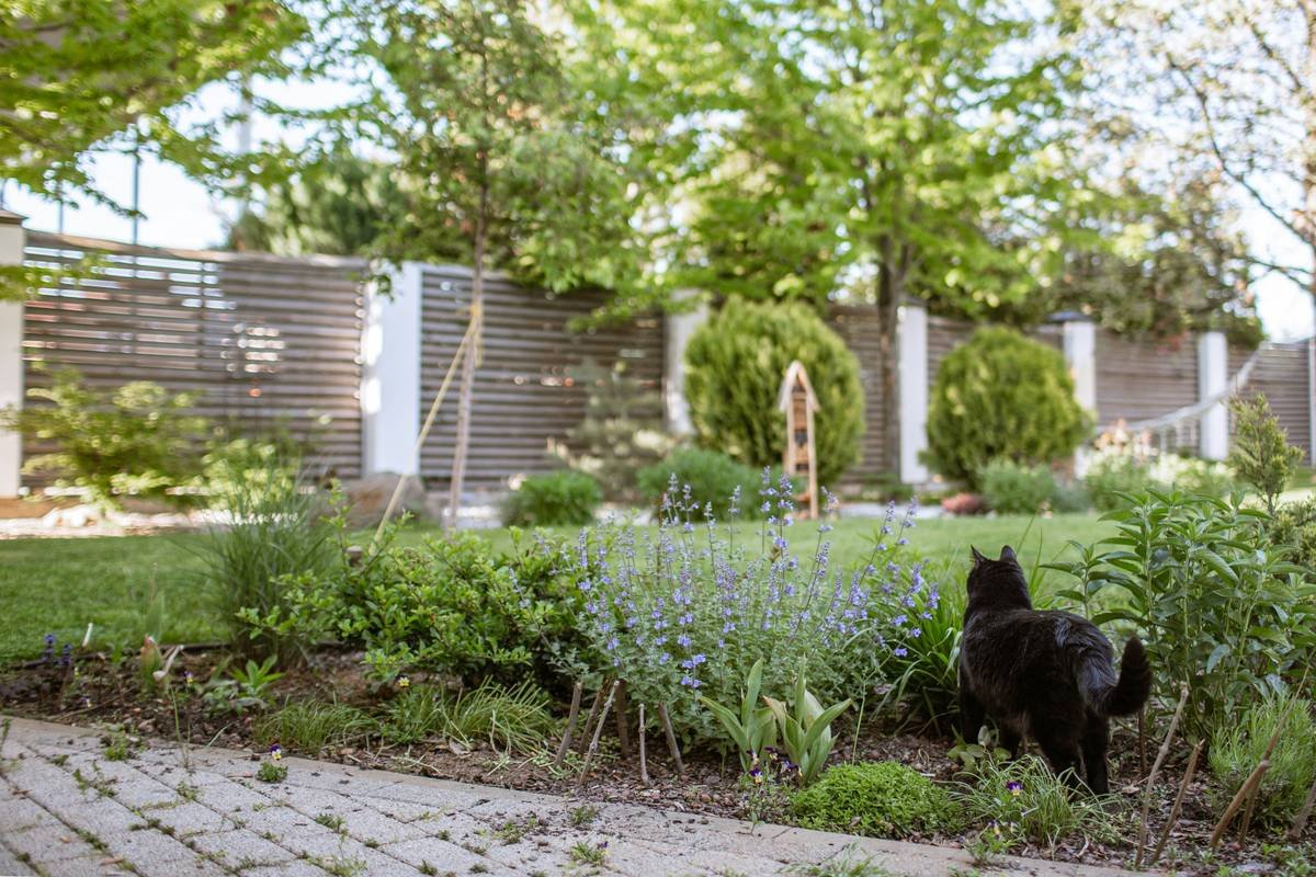 Step-by-step assembly of home made benches for outdoors using cedar and stainless steel hardware