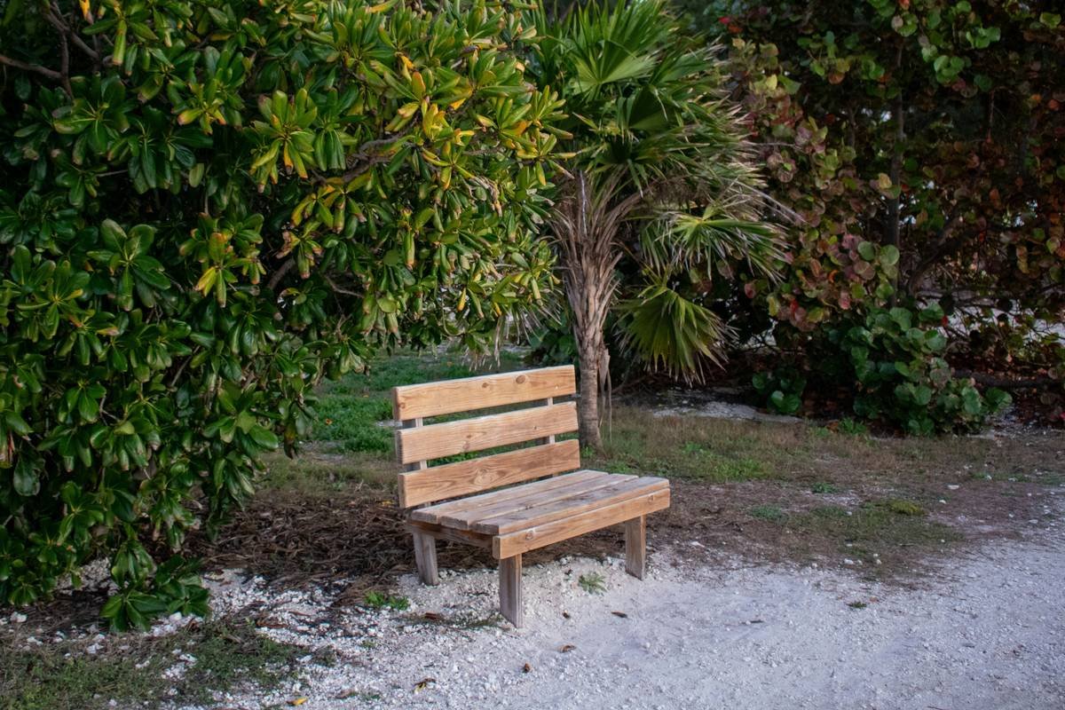 Why Your Outdoor Wood Benches Garden Benches Keep Rotting (And How to Fix It for Good)