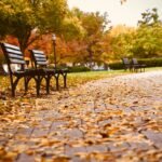 Why Your Outdoor Wooden Garden Bench Fails Within 2 Years (And How to Fix It)