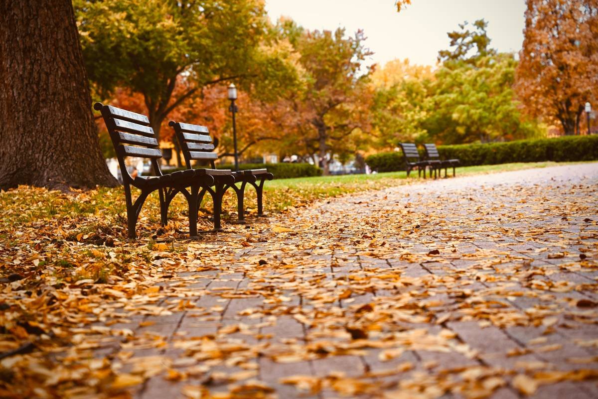 Why Your Outdoor Wooden Garden Bench Fails Within 2 Years (And How to Fix It)